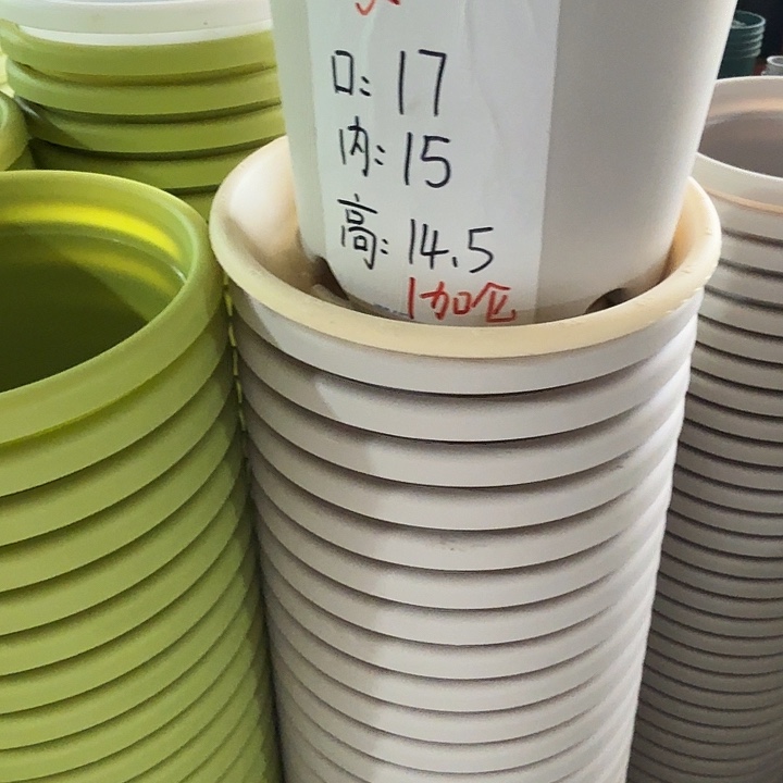 四季2号灰白无托10个
