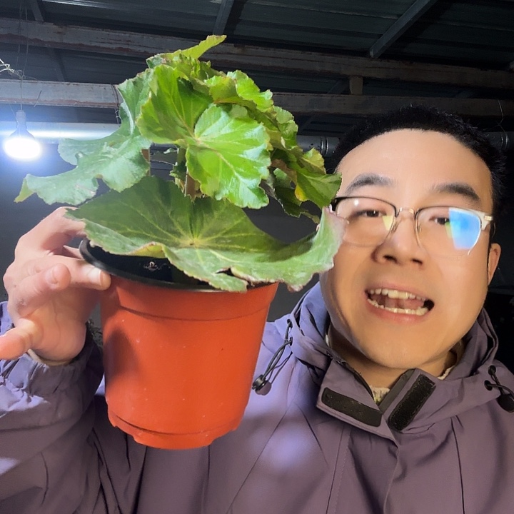 美***完全开放黄色➕保温