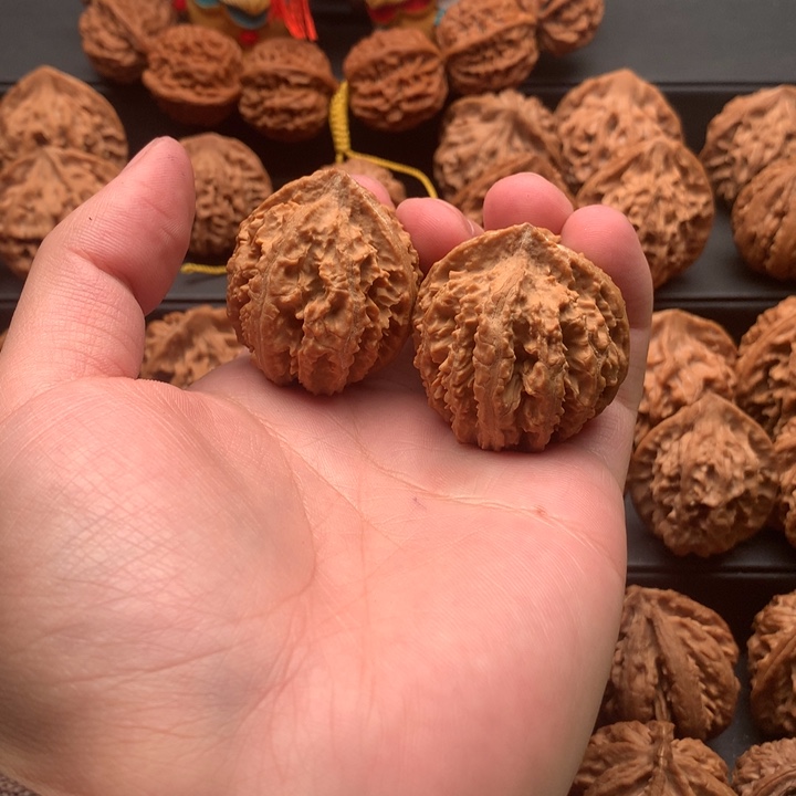 其他核桃爱**己秦岭山脉的