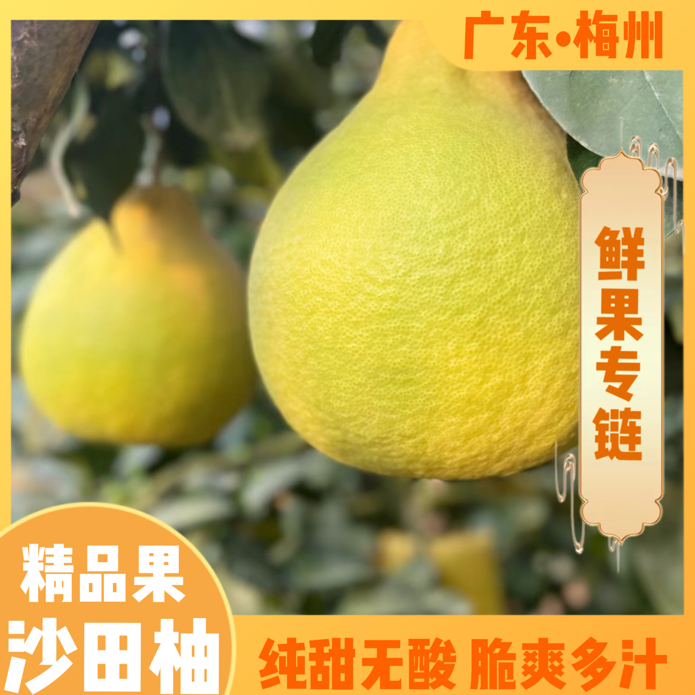 广东梅州正宗沙田柚爆甜无酸新鲜采摘产地直发白心柚子后熟水果