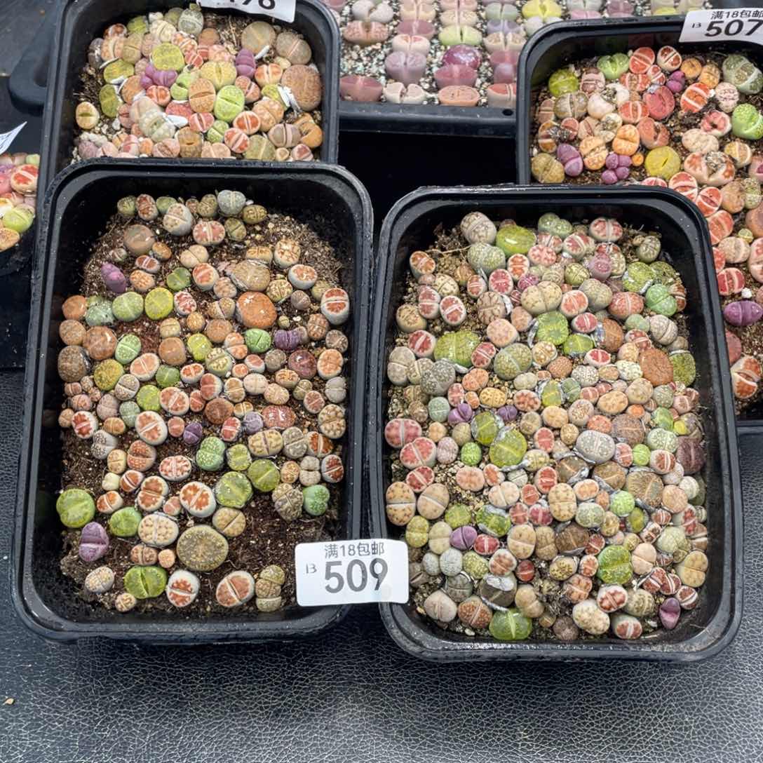 无铅玻璃00000000000000509