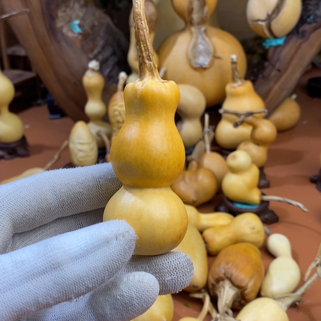 口***天教练咯教练教练经理