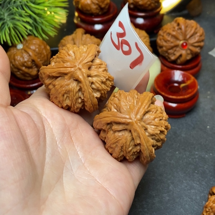 文玩核桃把件39尺寸307