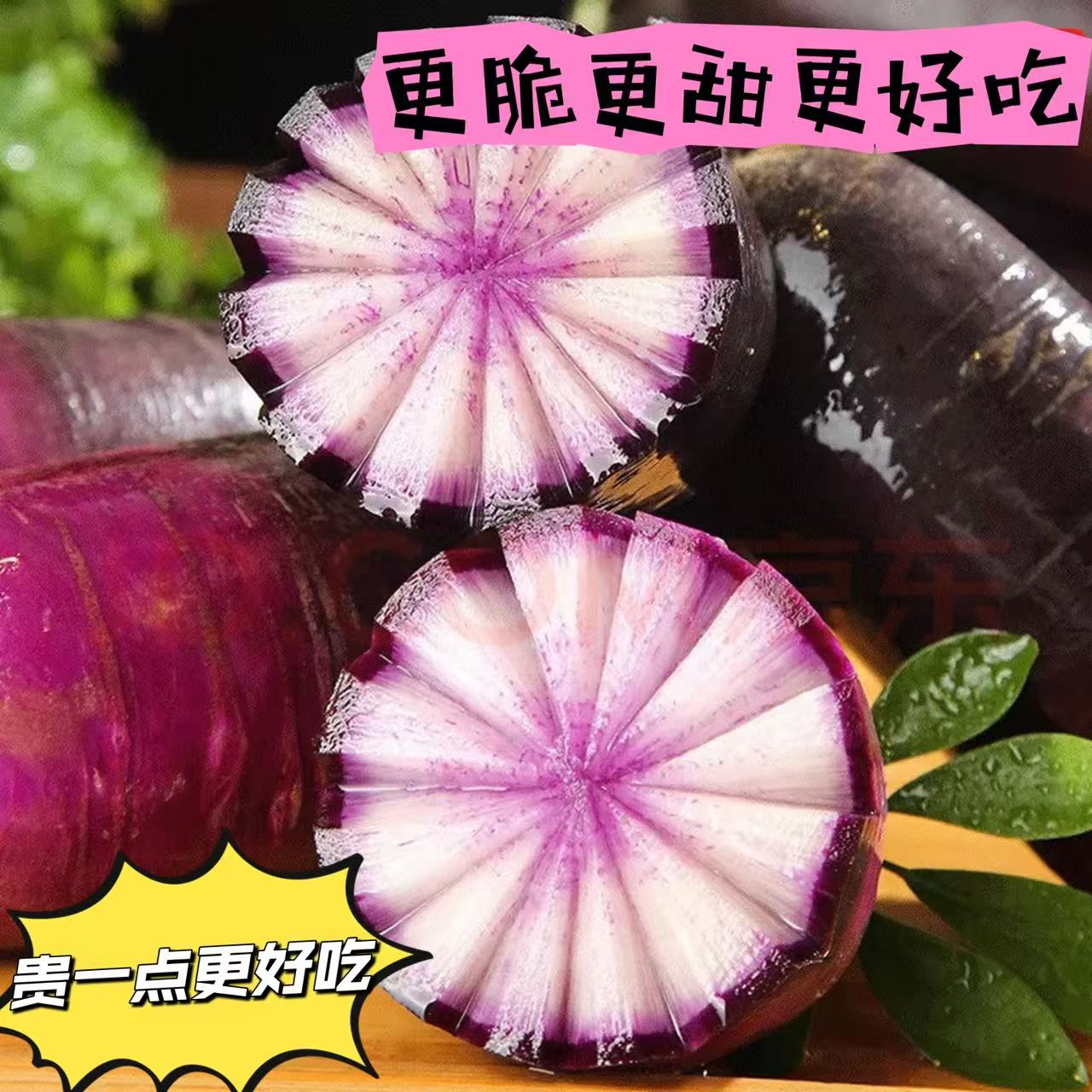 【潍县水果萝卜口感巨好水晶脆27】小果形冰激凌萝卜现拔现发头茬正宗潍坊萝卜产地24小时发货水果萝卜水晶脆