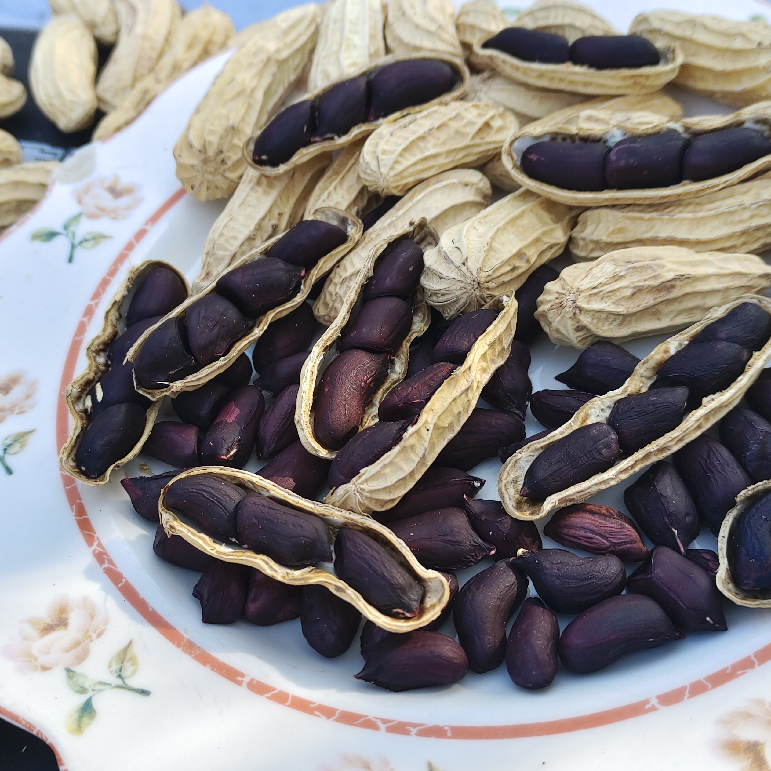 【村民代卖】大巴山黑花生