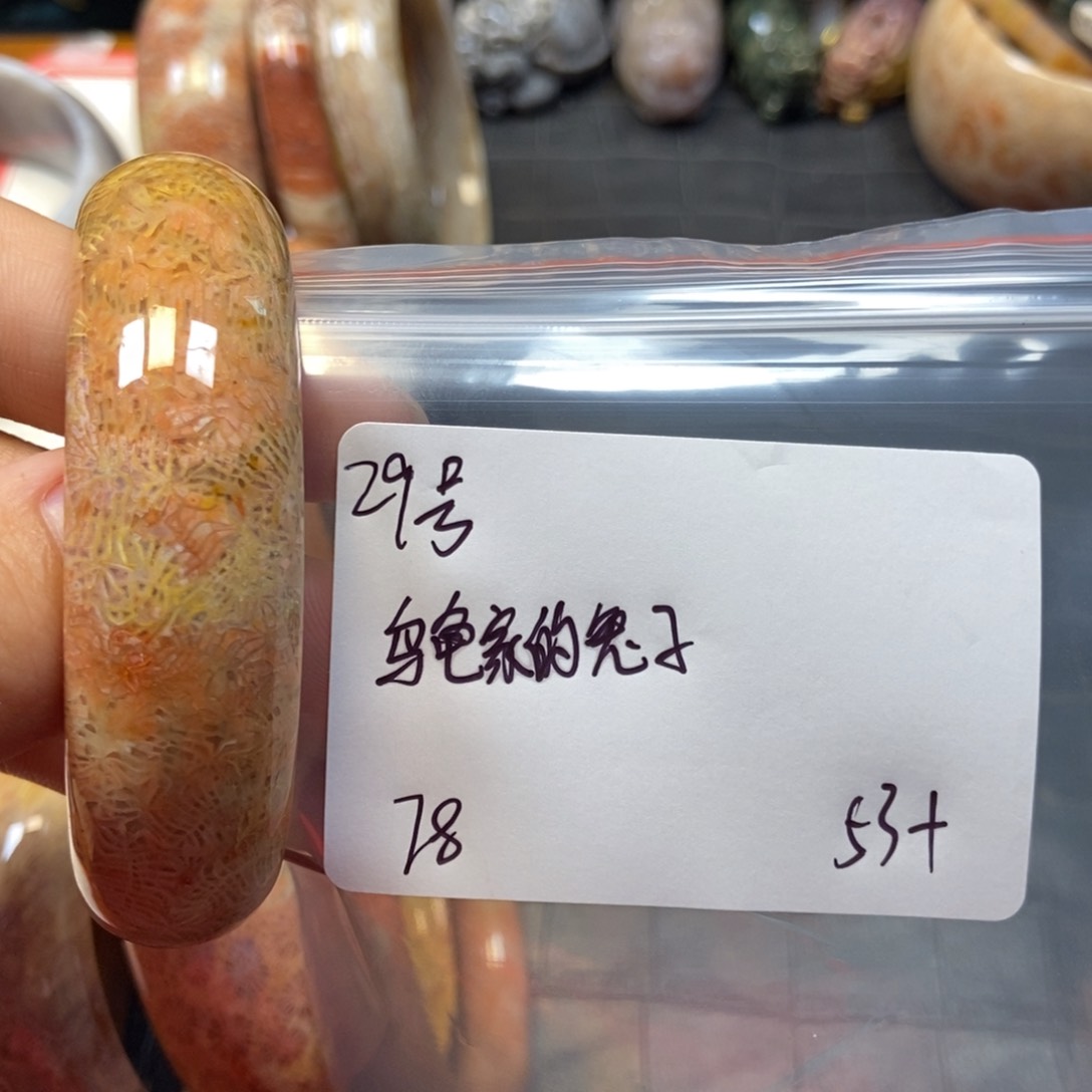 硅化珊瑚（珊瑚玉）手镯未镶嵌乌****子29