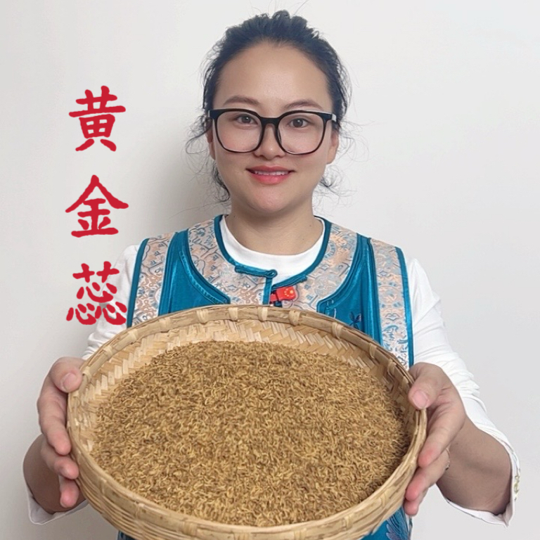 [小清] 夏至枸杞  黄金蕊