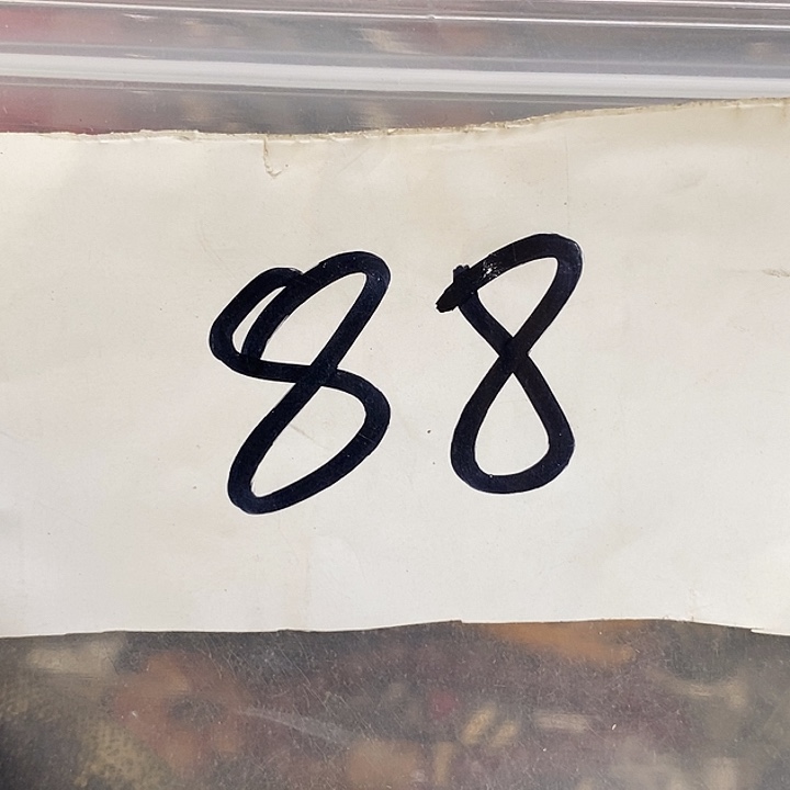 东***顺最美古村专属链接