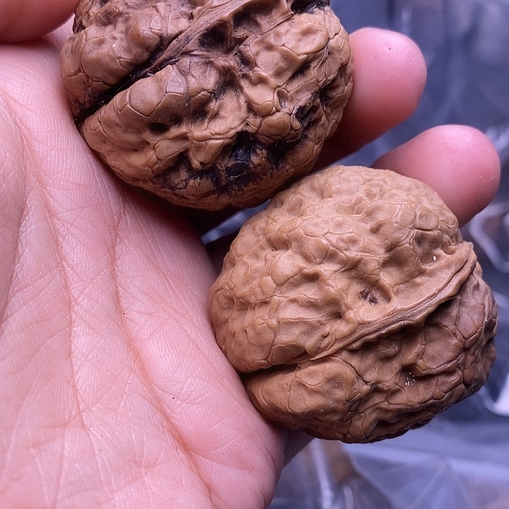 文玩核桃把件   145