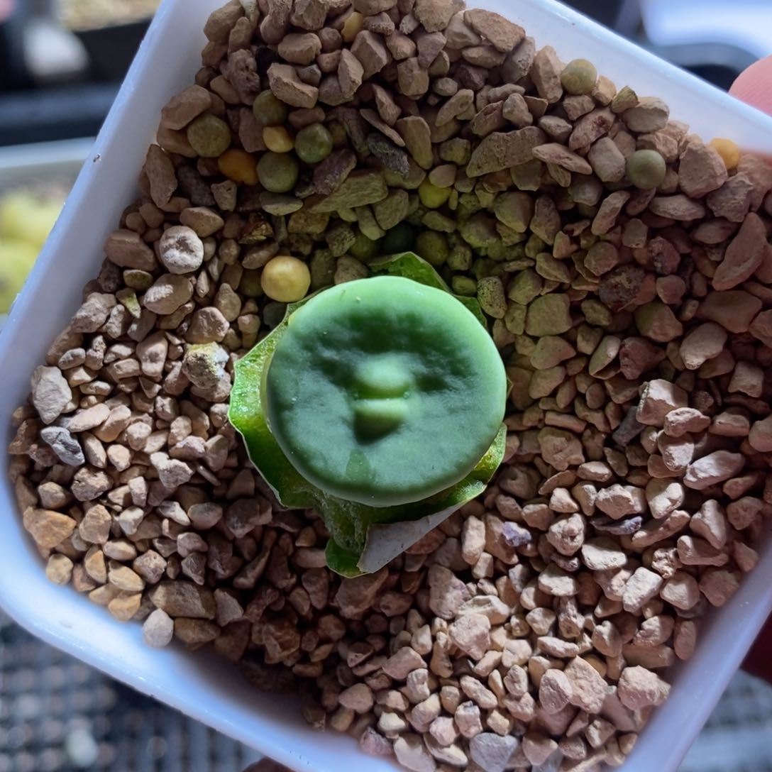 9182一个一个一个