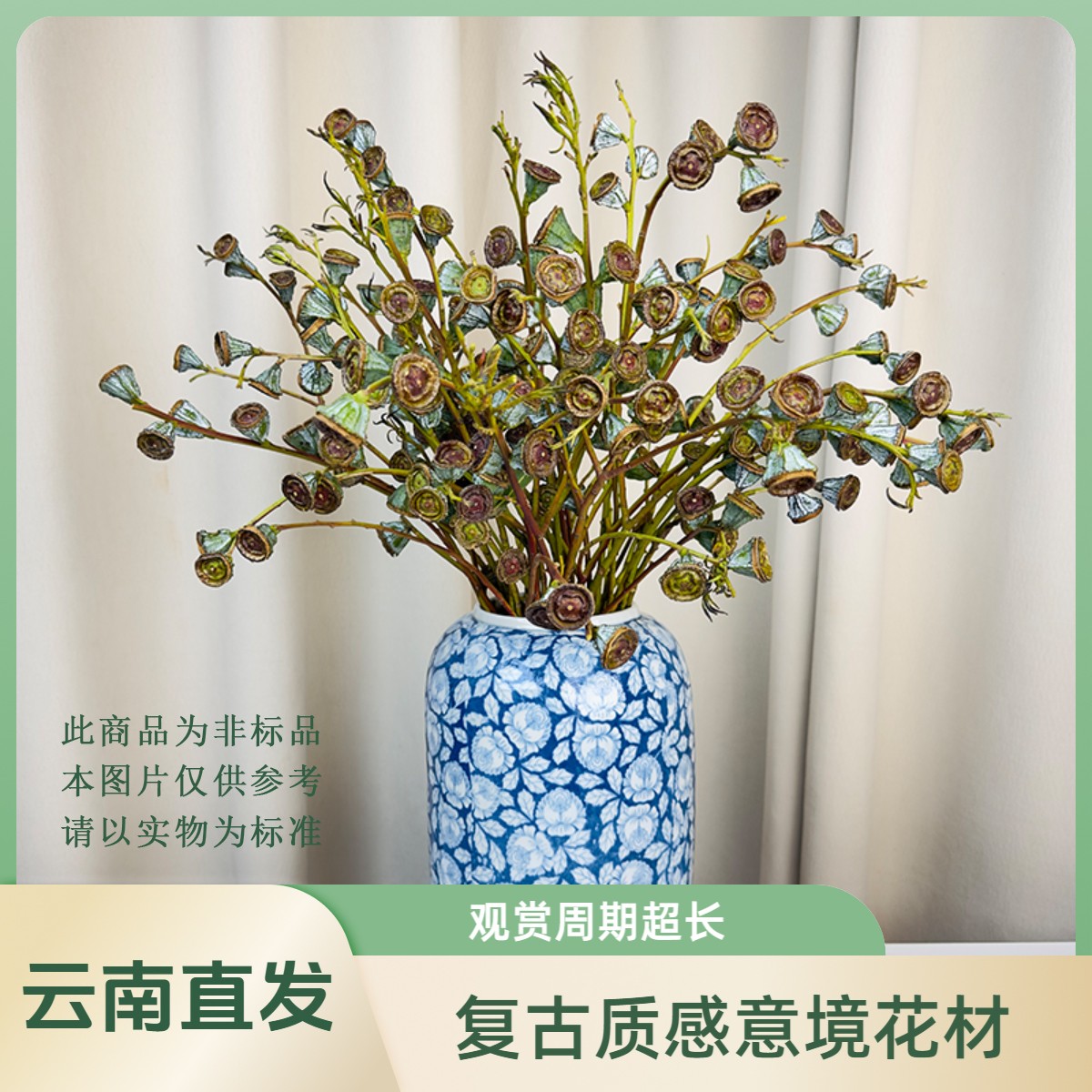 【尤加利果】复古风野奢花材云南做干花无需水养家庭瓶插花观赏期长