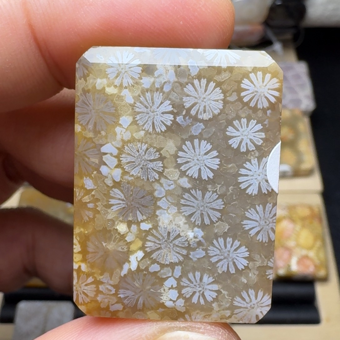 硅化玉未镶嵌纯天然色有机玉石保真色