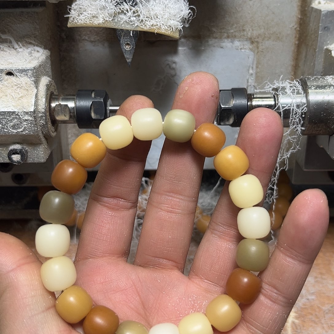 手串菩提根/象牙果