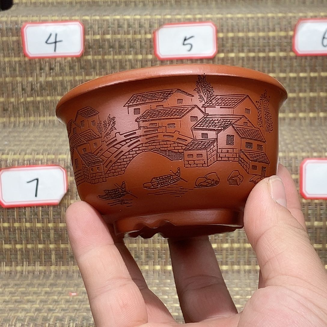 紫砂花盆我在等他