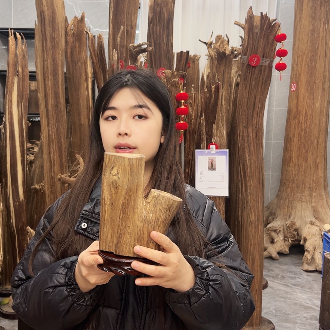 沉香摆件沉香原料摆件工艺品