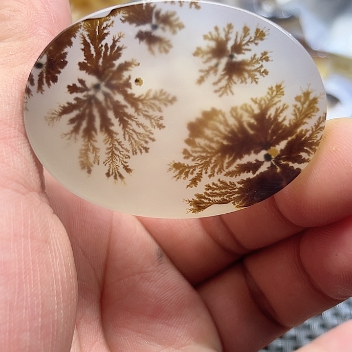 时***代玛瑙/玉髓未镶嵌珠宝半成品