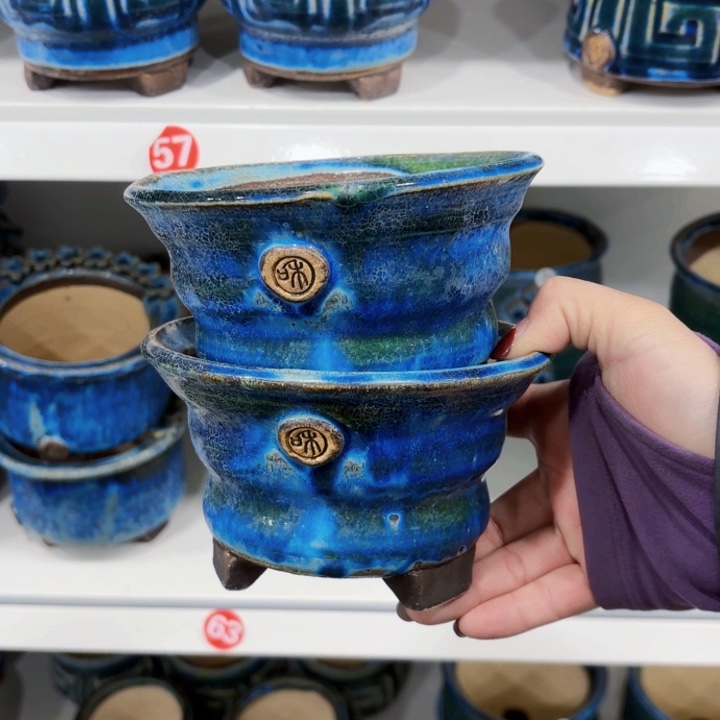 红陶内扣12.5号8.5