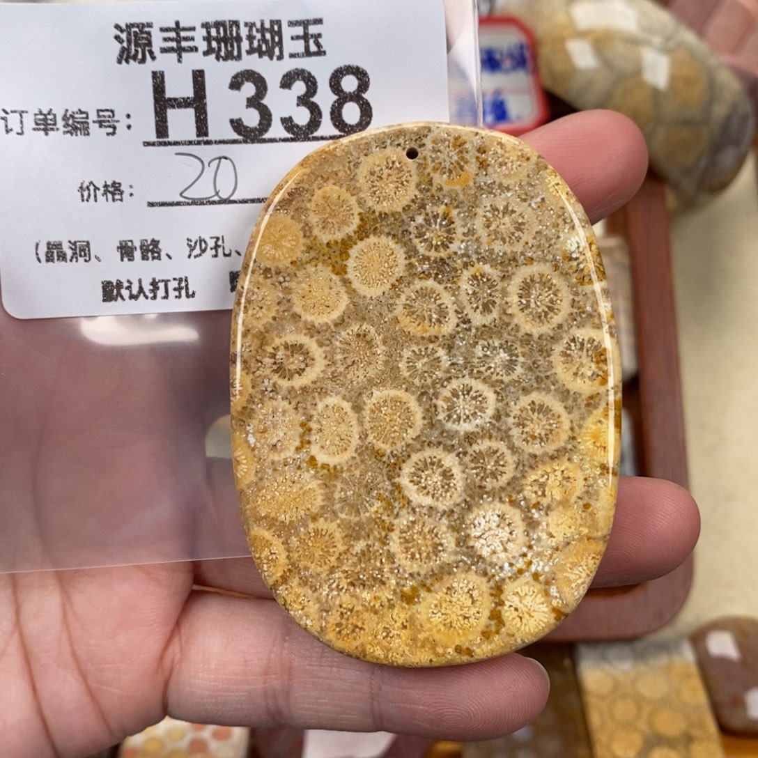 硅化玉颈饰未镶嵌沙*龙