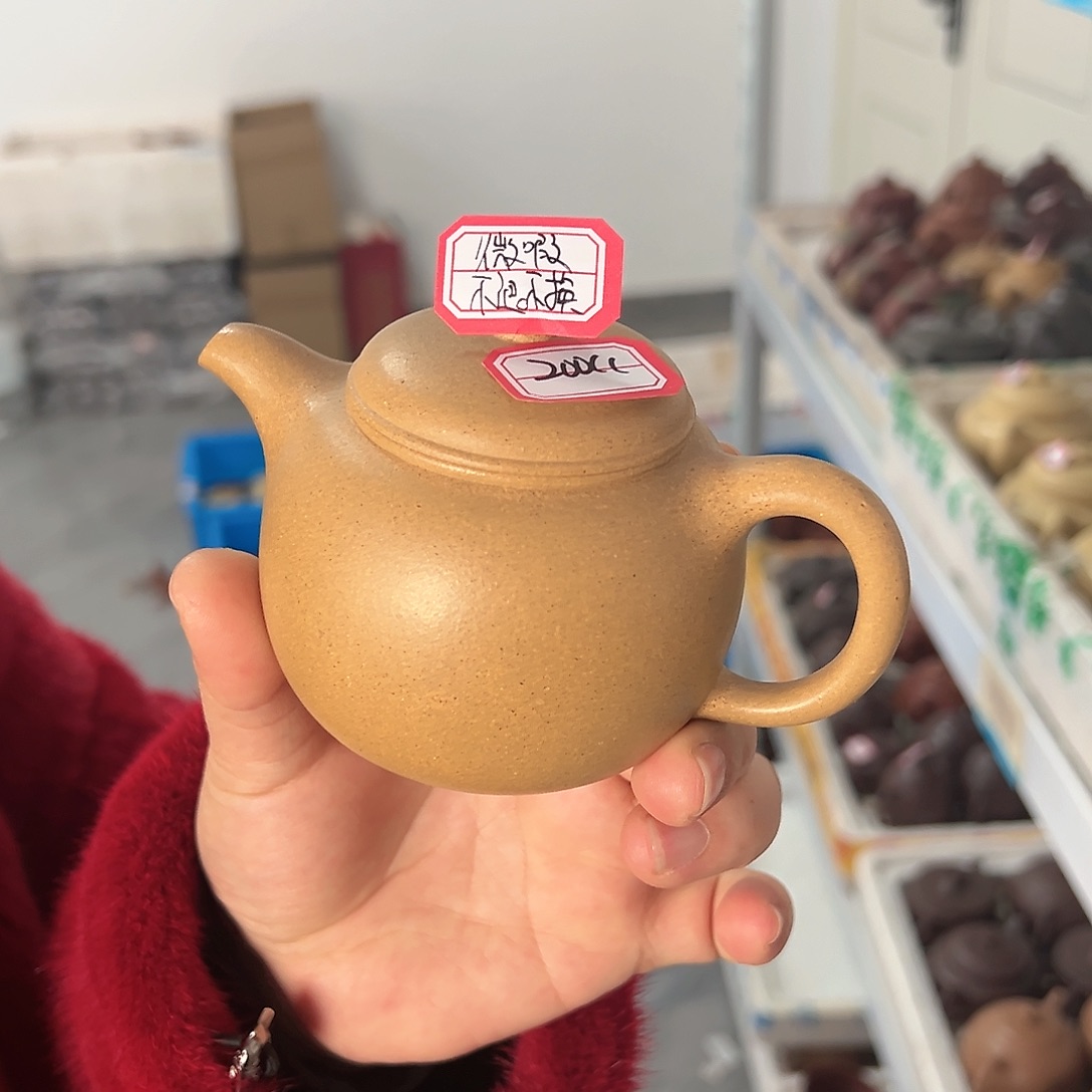 紫砂茶壶黄龙山原矿黄金段200