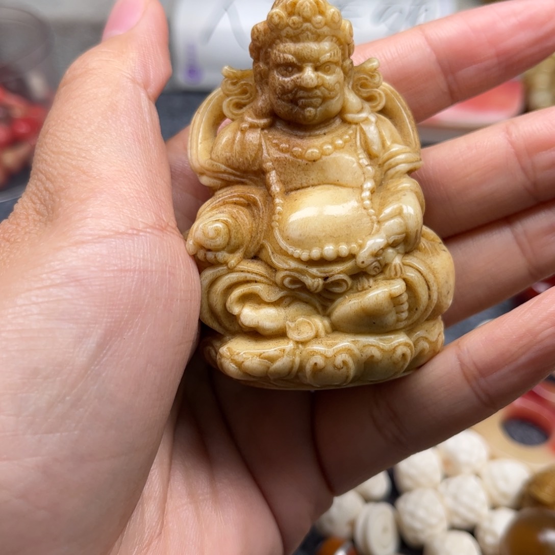 鹿骨其他人工养殖驼骨1