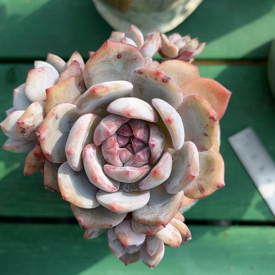 cjfgchghhvbvhhhhhhhhhhh