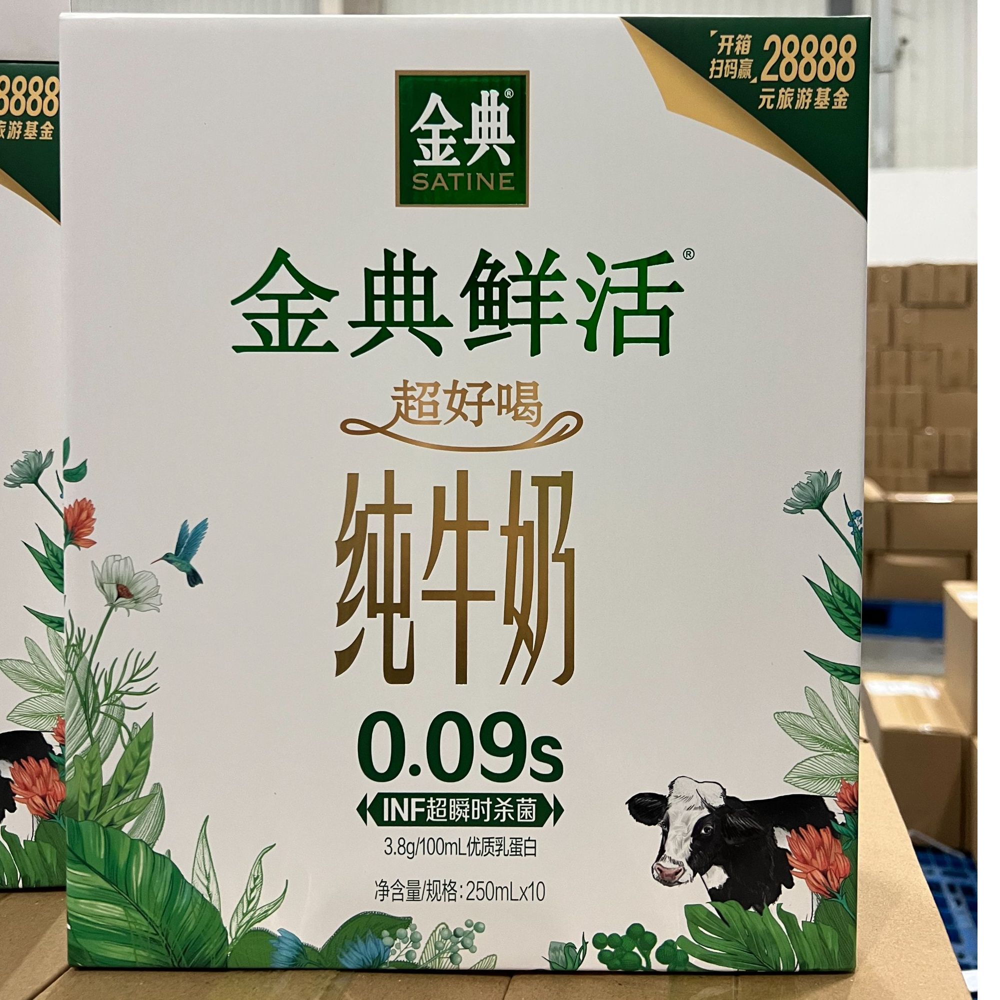 金典现货纯牛奶250ML*10瓶 12月生产