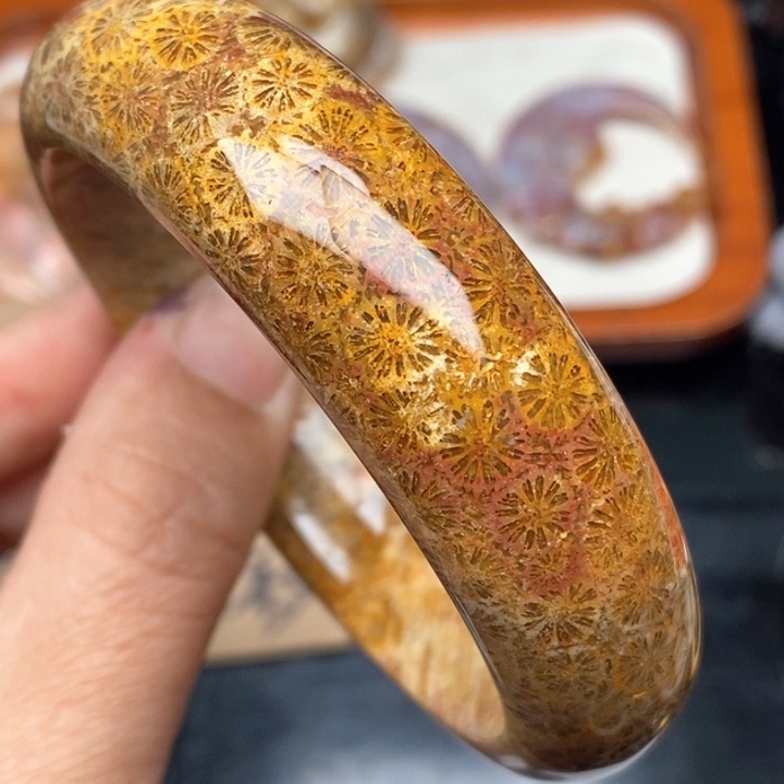 硅化珊瑚（珊瑚玉）手镯未镶嵌58.5