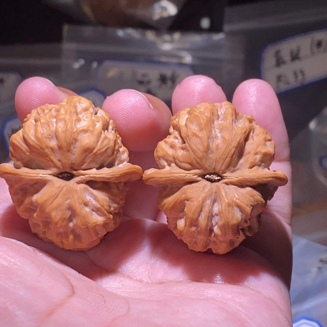 文玩核桃吊坠37全品金种