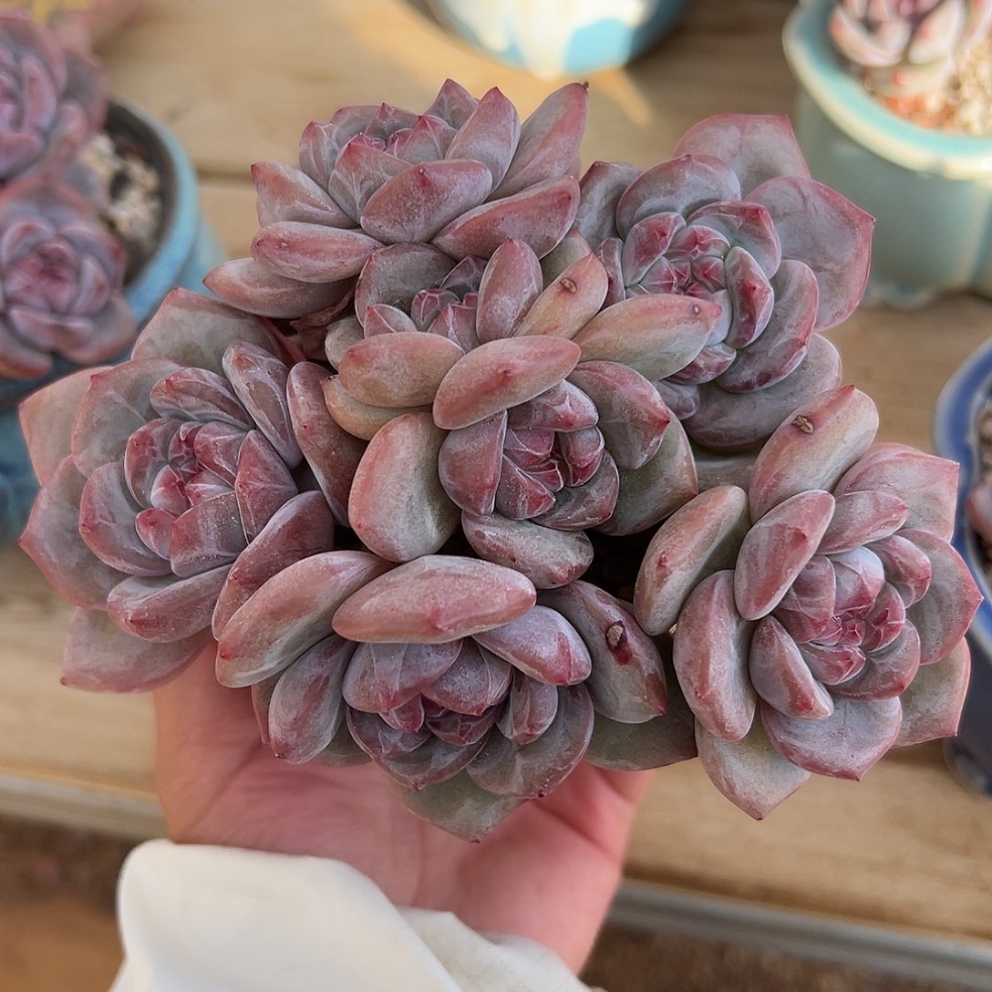 哈哈哈哈哈哈哈哈哈