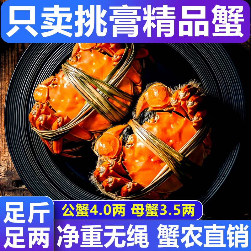 【活蟹】大闸蟹公4.0两 母3.5两6/8/10只螃蟹鲜活去绳礼盒顺丰包邮