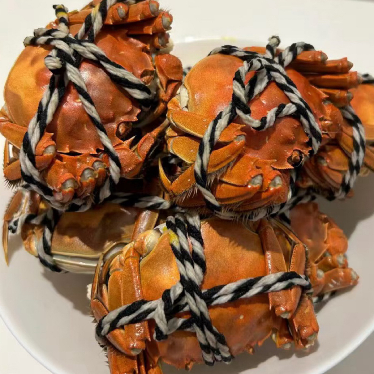 【活蟹】江苏精品大闸蟹-母（5只2.0-2.2两母+3只2.3-2.5两母）共8只