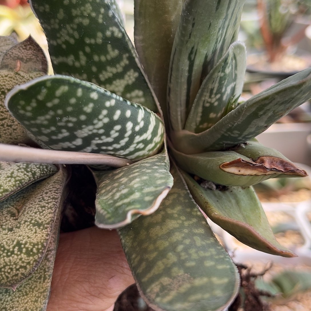 錢*钱专拍11111111111