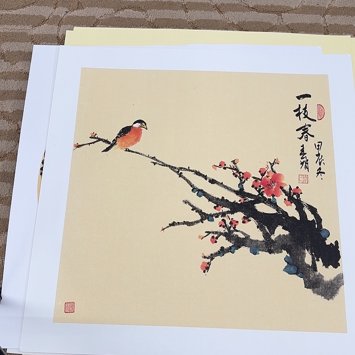 国画花鸟等多种鸟类的50.50