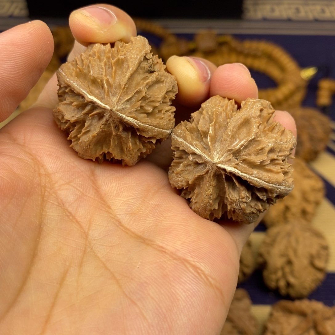 文玩核桃把件小蒜头6号链接666666666