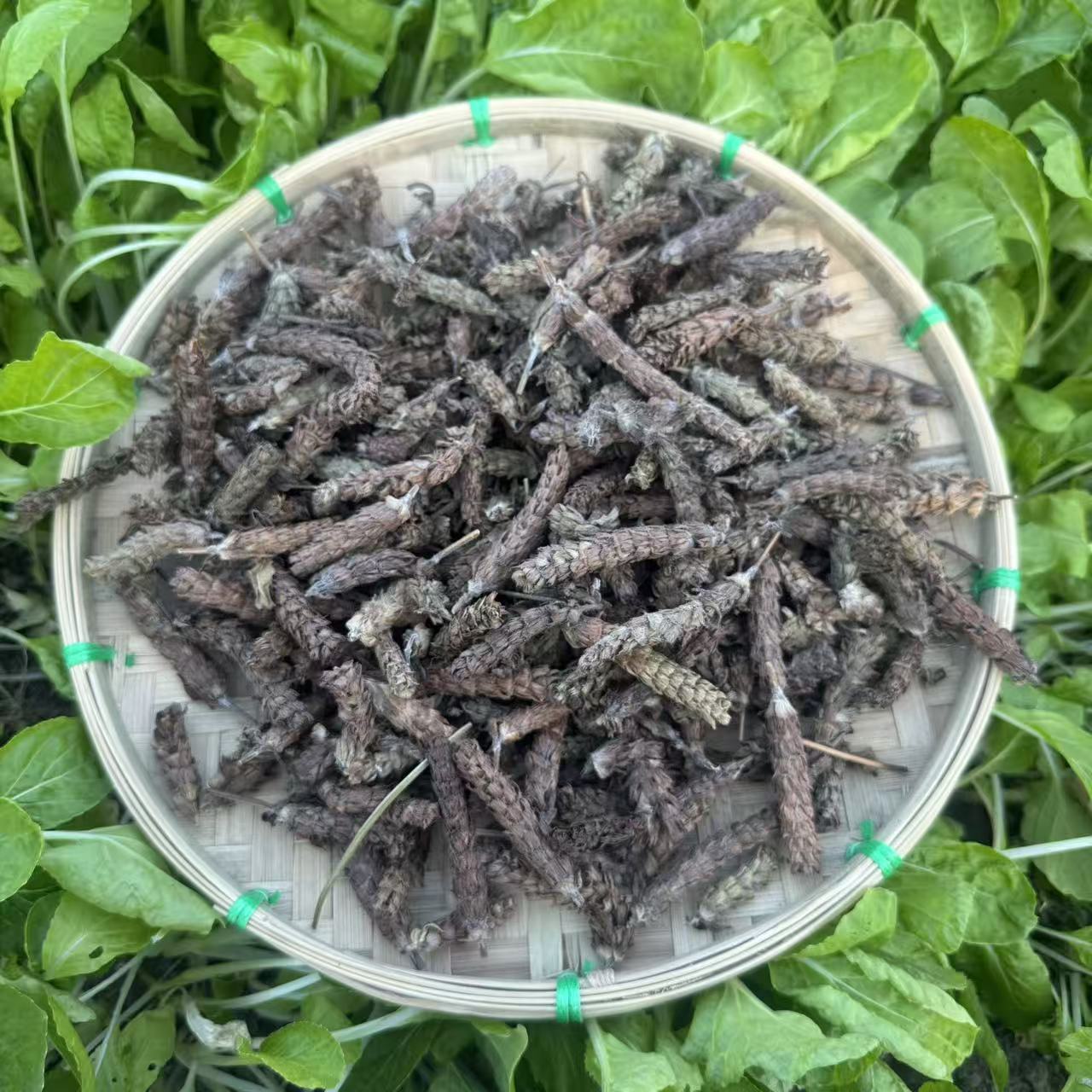 正宗夏枯草 可泡水