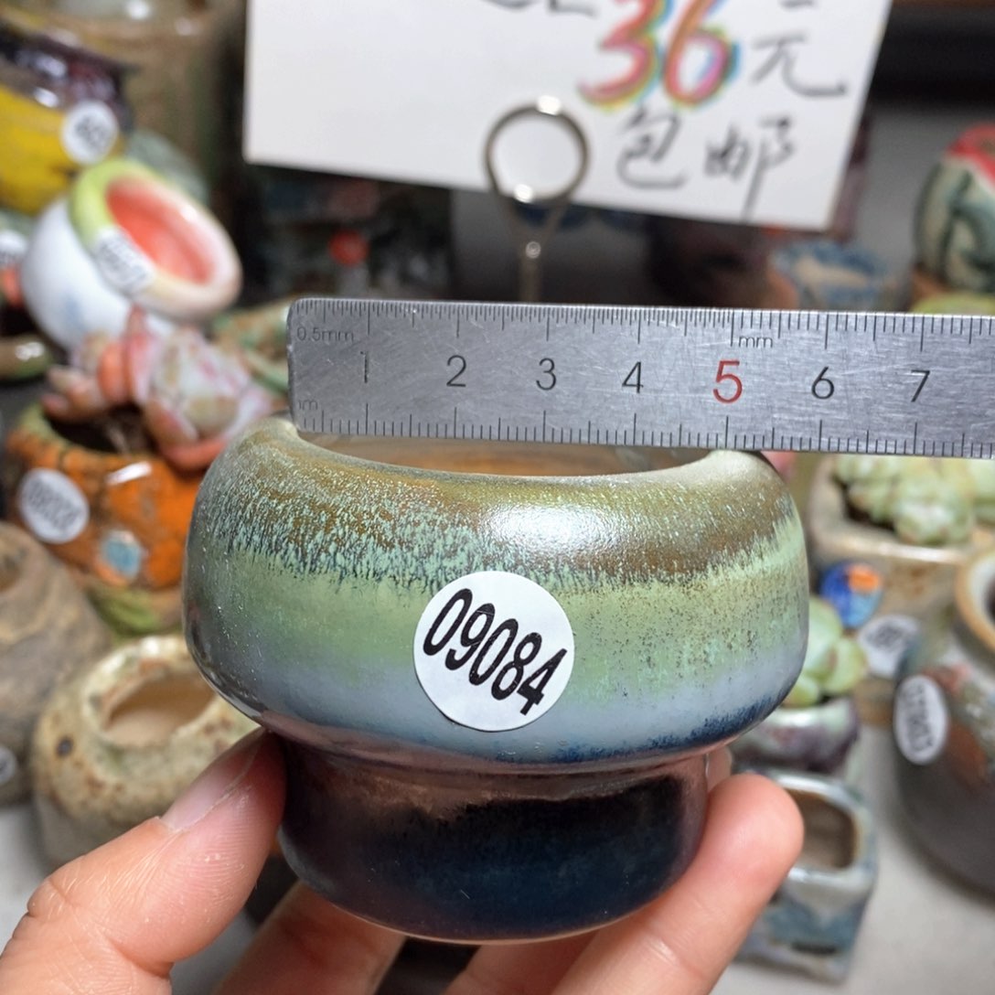 花盆拍5送一个小礼物