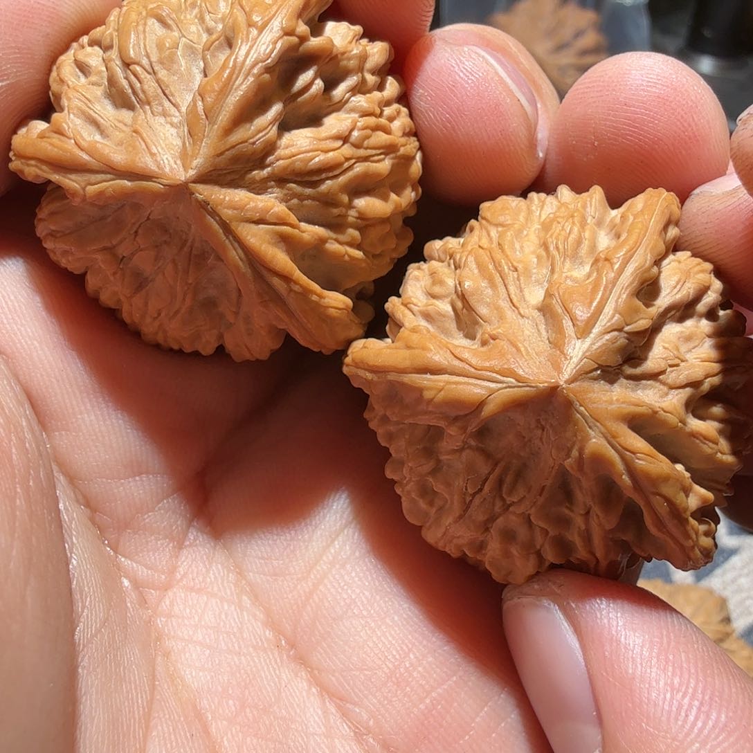 文玩核桃把件御龙正奔