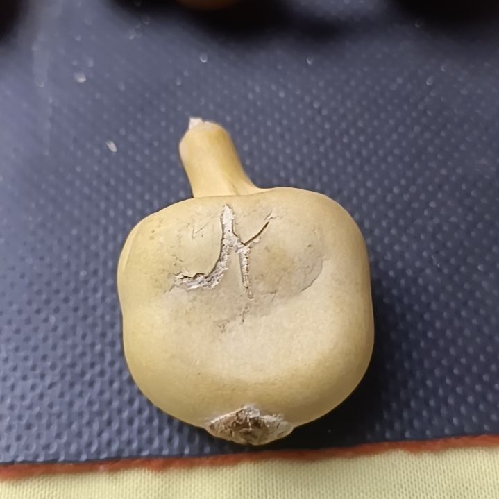 W****2微抽抽抽夹板葫芦