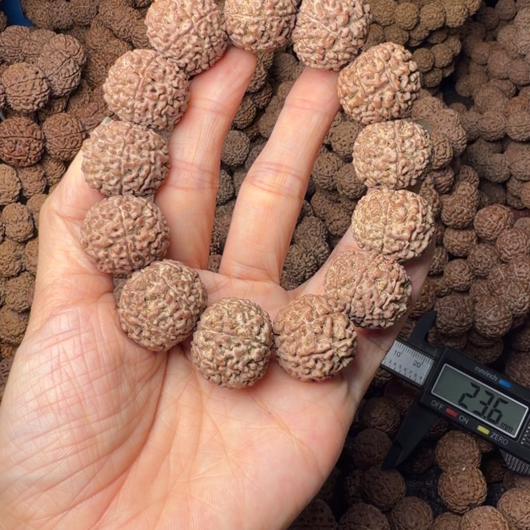 金刚菩提手串8瓣卡22尺，21号