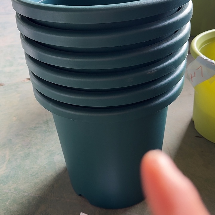 编号2347口33无托6个