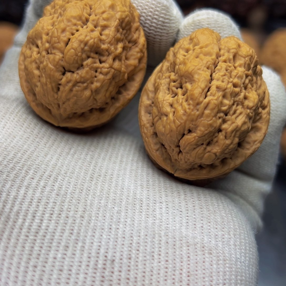 41尺寸凤山古蟾 一物一图