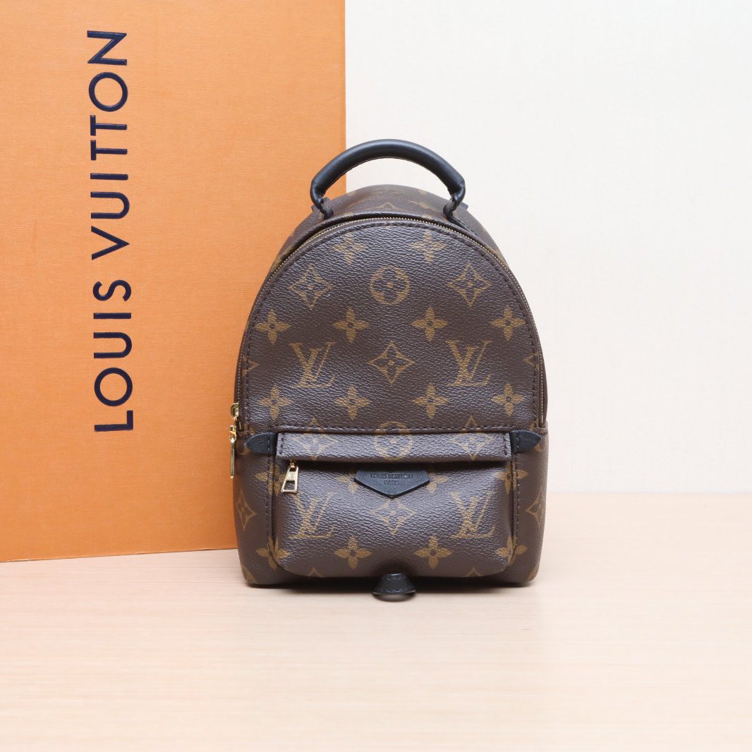 95新 LouisVuitton/路易威登 小花攀攀小书包17 新款拉链外露芯片