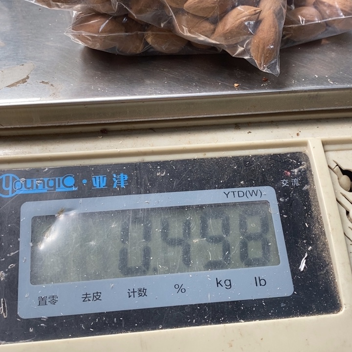 吊坠橄榄核橄榄球队的