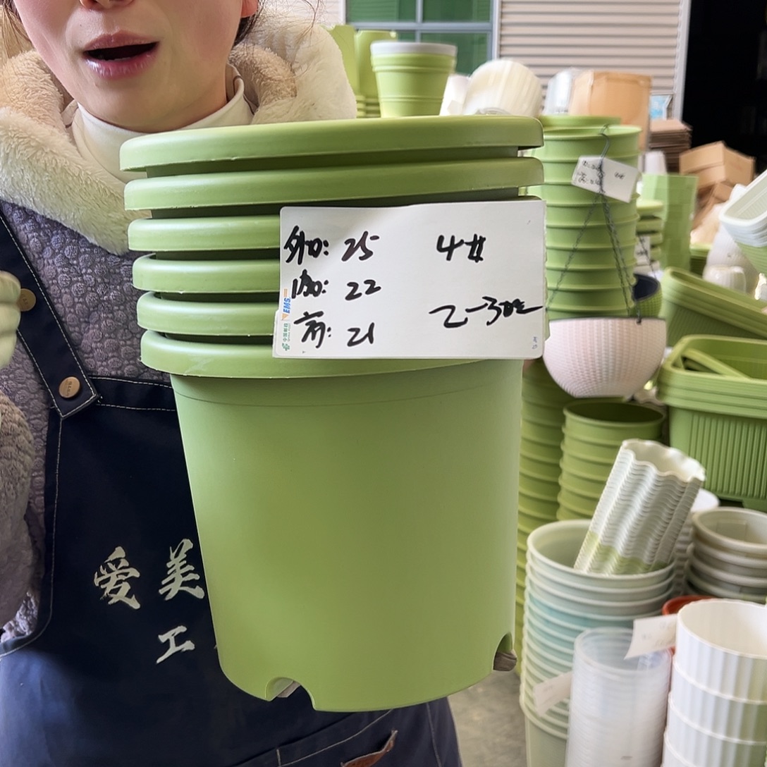 四季盆4#果绿8个无托