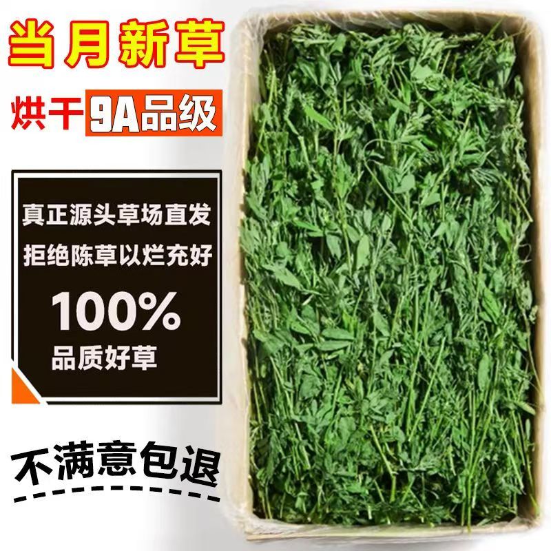 2015新品紫花烘干苜蓿草头茬新草幼兔宠物兔新鲜嫩