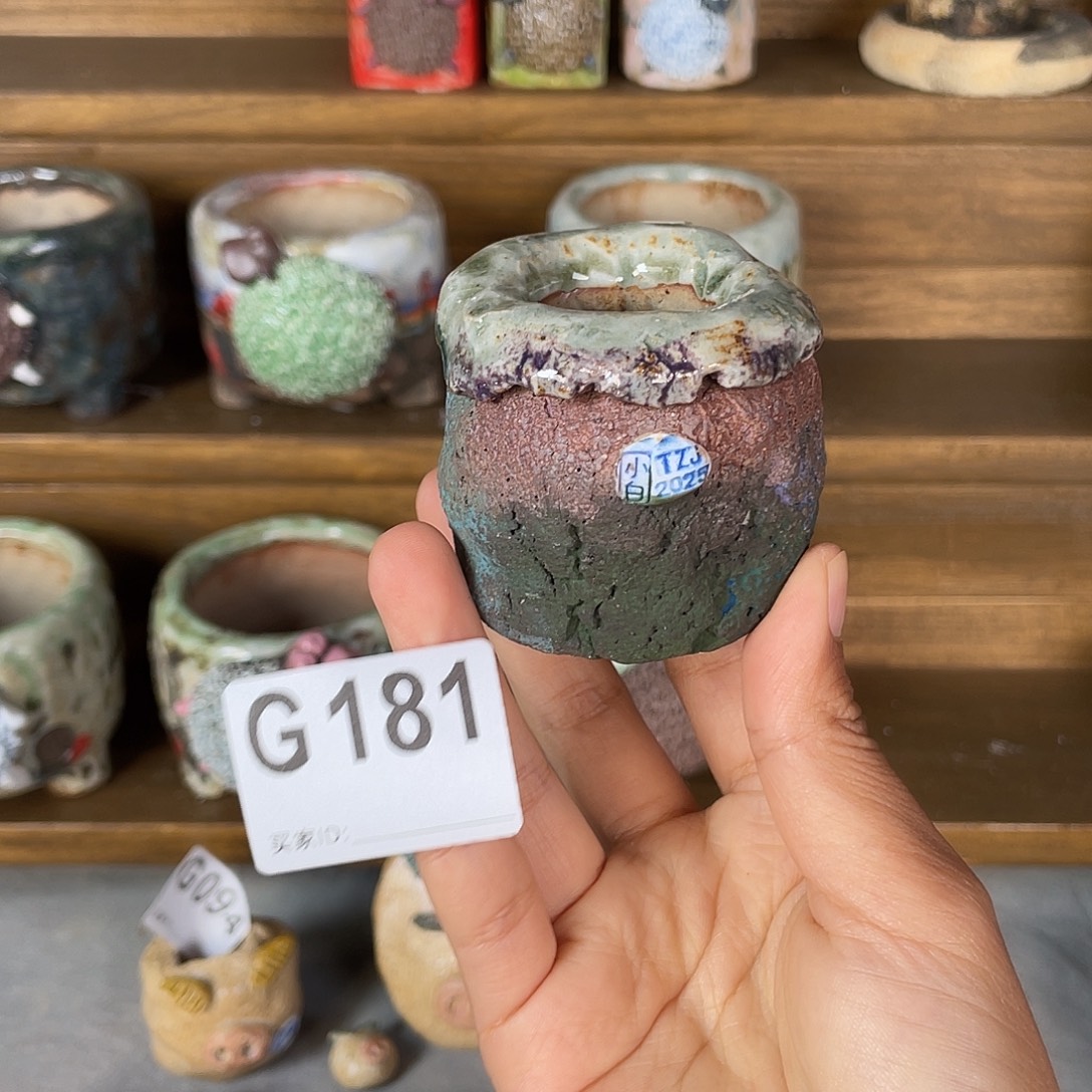 坛子姐花盆小白孤品 内口3