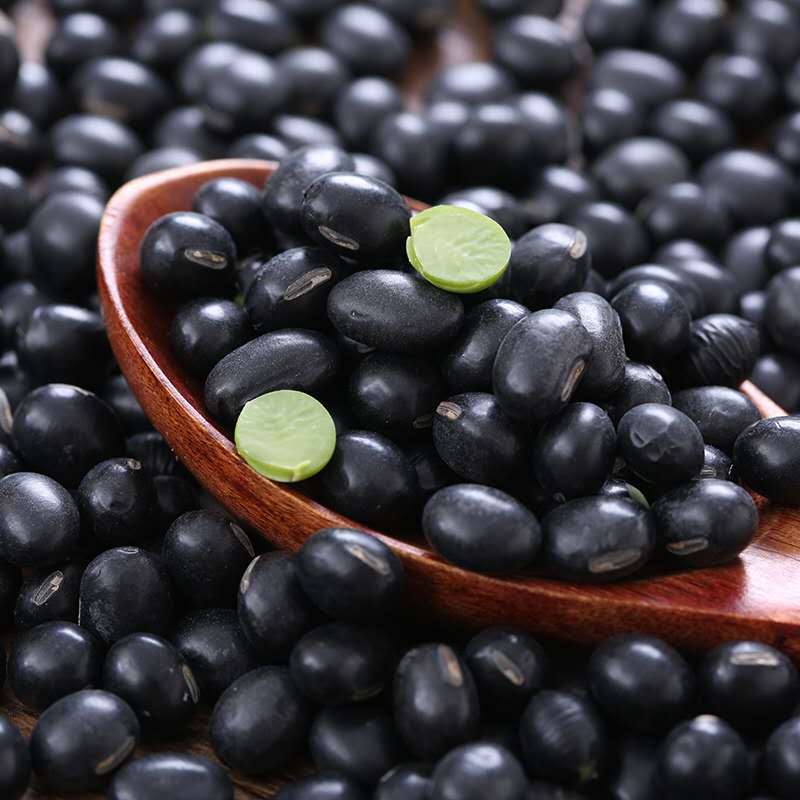 东北黑龙江当季新货绿芯黑黑豆农家自产绿心黑豆可发芽