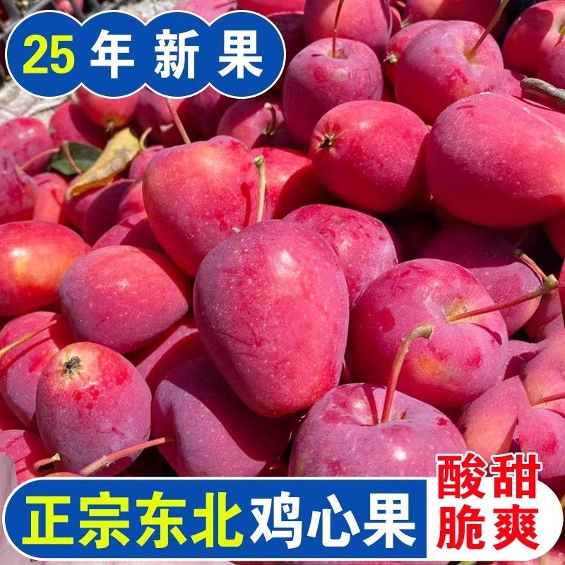 东北特产精品大果鸡心果酸甜5斤包邮