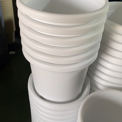 树脂四季3号6个无托白