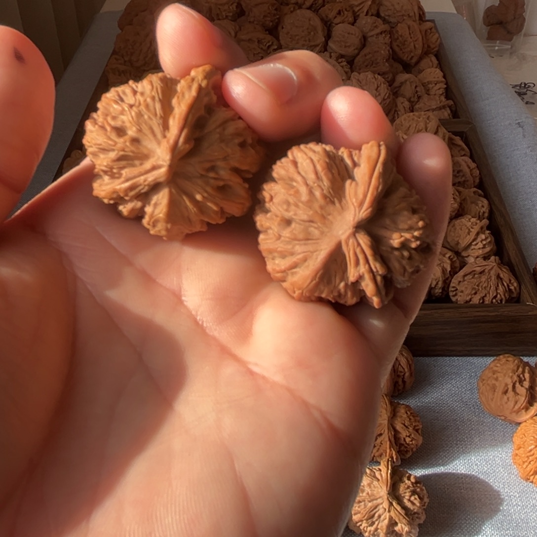 深***风核桃核桃核桃核桃